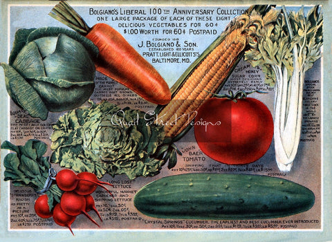 Vintage Seed Catalog - Reprint: Bolgianos 1918 Back Cover - 100 Year Ann - 8X10