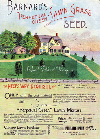 Vintage Seed Catalog - Reprint:  Barnard Back of Plant & Seed Guide 8X10