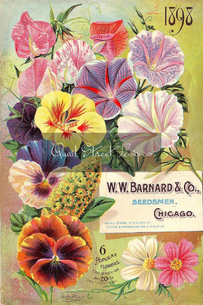 Vintage Seed Catalog - Reprint:  Barnard 1898 Plant & Seed Guide 8X10