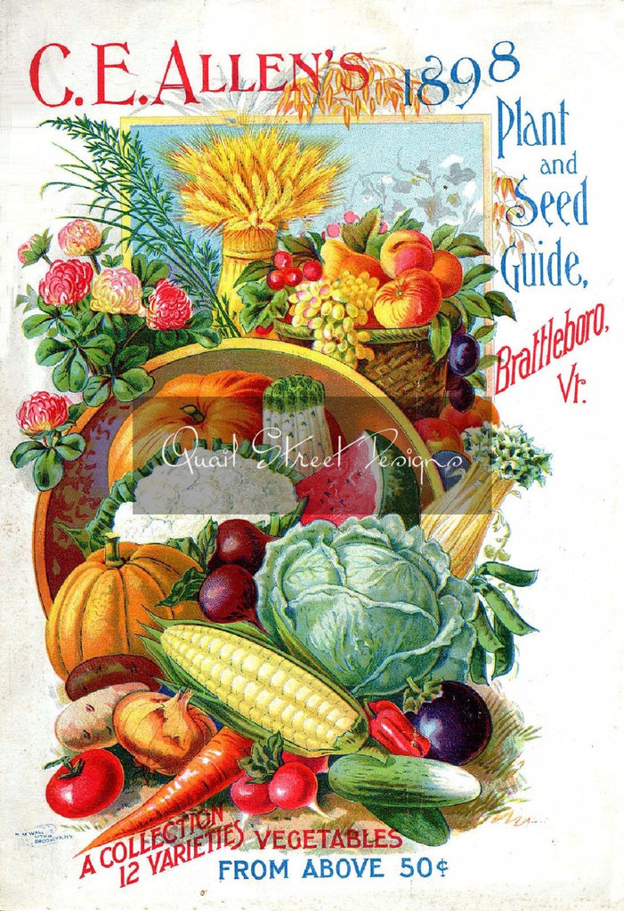 Vintage Seed Catalog - Reprint:  CE Allen's 1898 Plant & Seed Guide 8X10 ALLEN
