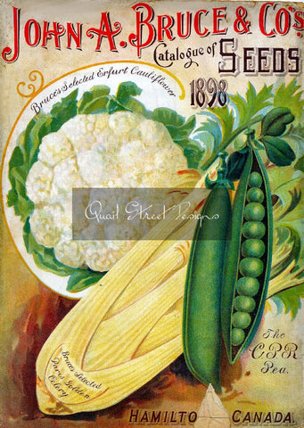 Vintage Seed Catalog - Reprint: John A. Bruce & Company - Canada 1898 - 8X10