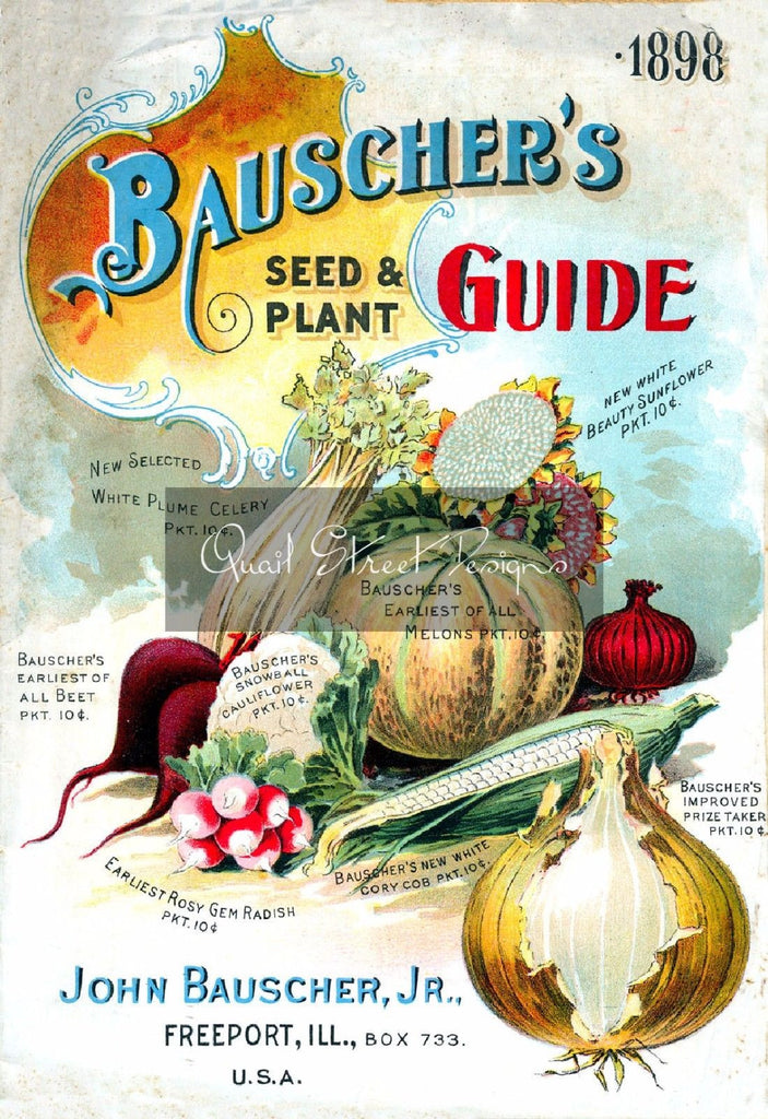 Vintage Seed Catalog - Reprint:  Bauscher Plant & Seed Guide 8X10 - 1898