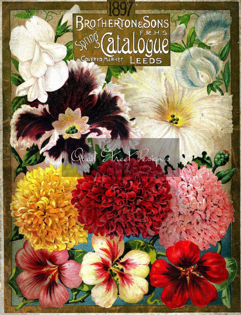 Vintage Seed Catalog - Reprint: Front Cover Brotherton & Son Catalog 1897 - 8X10