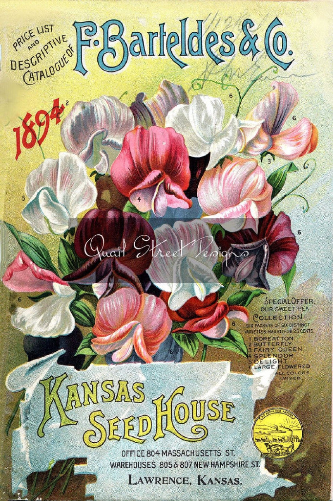 Vintage Seed Catalog - Reprint:  Bartelde Plant & Seed Guide 8X10 - 1894