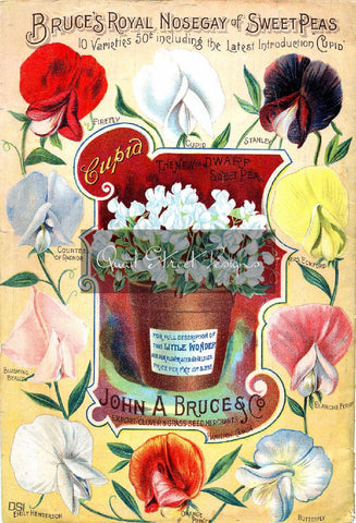 Vintage Seed Catalog Reprint: John Bruce & Company Royal Nosegay & Sweet Pea