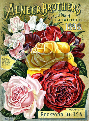 Vintage Seed Catalog - Reprint:  Alneer Brothers 1898 Plant & Seed 8X10 ALNEER2