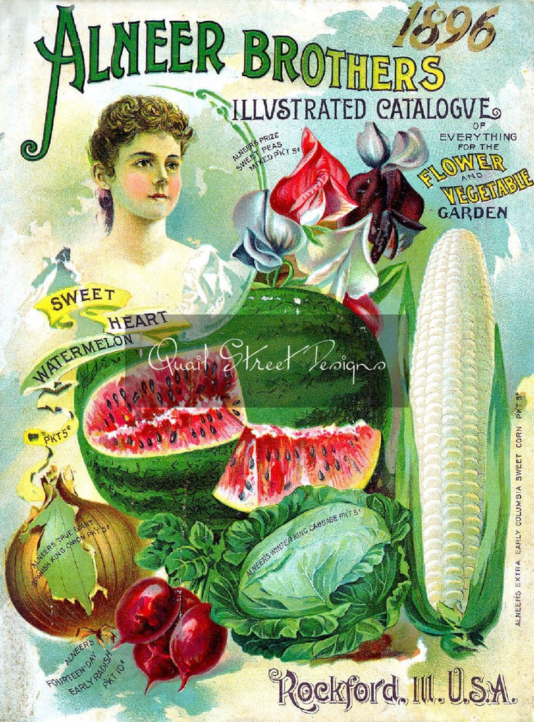 Digital Download - Vintage Seed Catalog - Alneer Brothers 1896 Plant & Seed Catalog  QSDP-6