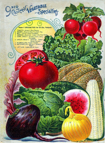 Vintage Seed Catalog Digital Download - Alneer Back Plant & Seed Guide QSDP-8