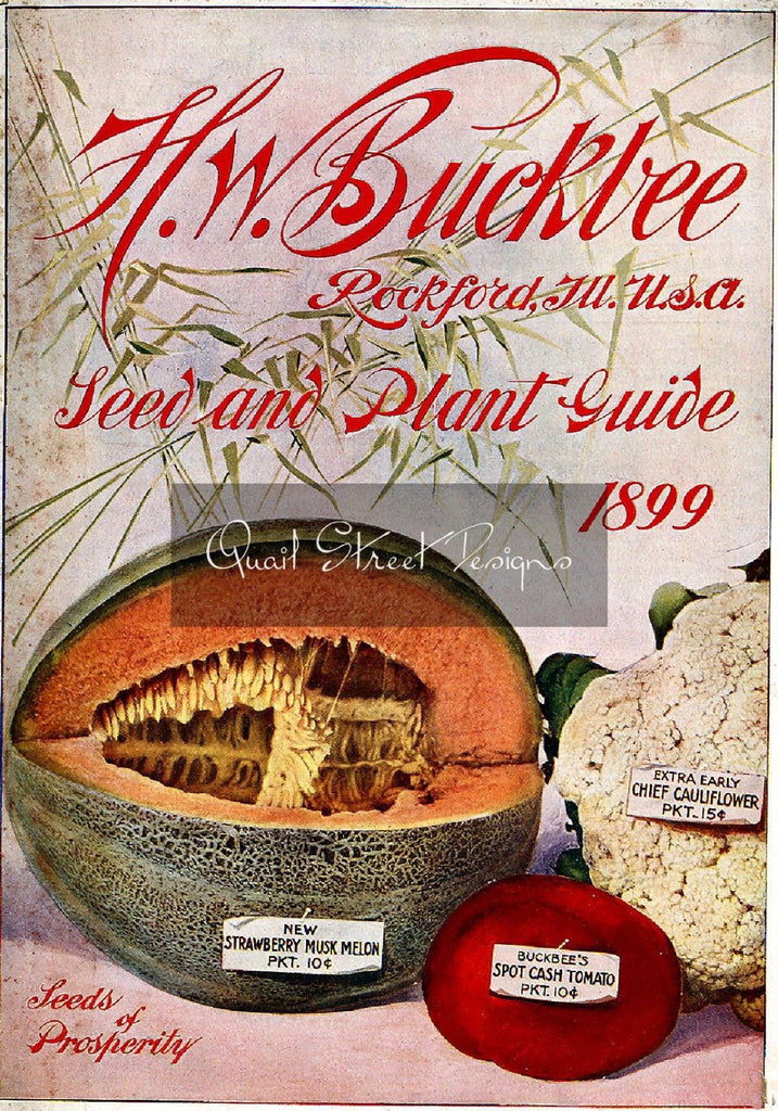 Vintage Seed Catalog Reprint: H.W. Buckbee Seed & Plant Guide - 1899 - 8X10