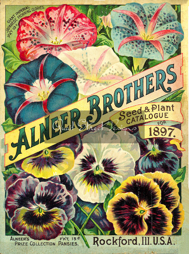 Vintage Seed Catalog Digitized Alneer Back Plant & Seed Guide