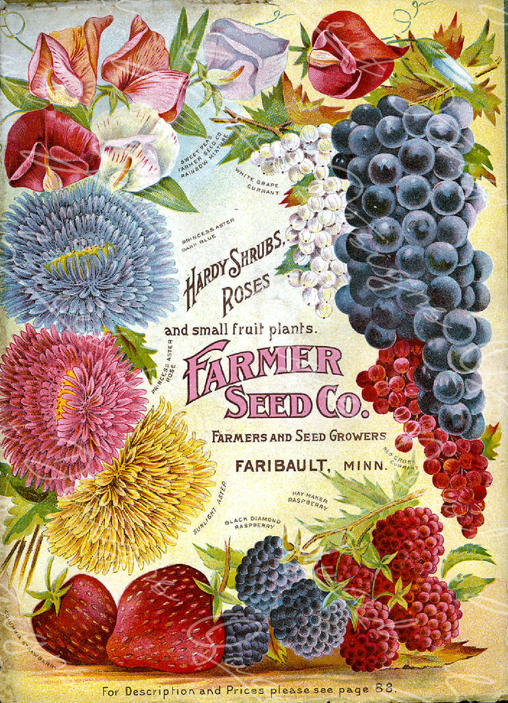 Vintage Seed Catalog - Reprint:  Cover of Farmer Seed Company Plant & Seed Catalog -  8X10 Print  QSDP-120