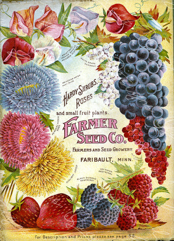 Digital Download - Vintage Seed Catalog - Cover of Farmer Seed Company Plant & Seed Catalog -  QSDP-120