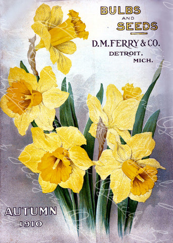 Vintage Seed Catalog - Reprint:  Cover of D.M. Ferry & Co. Autumn 1910 Plant & Seed Catalog -  8X10 Print  QSDP-125