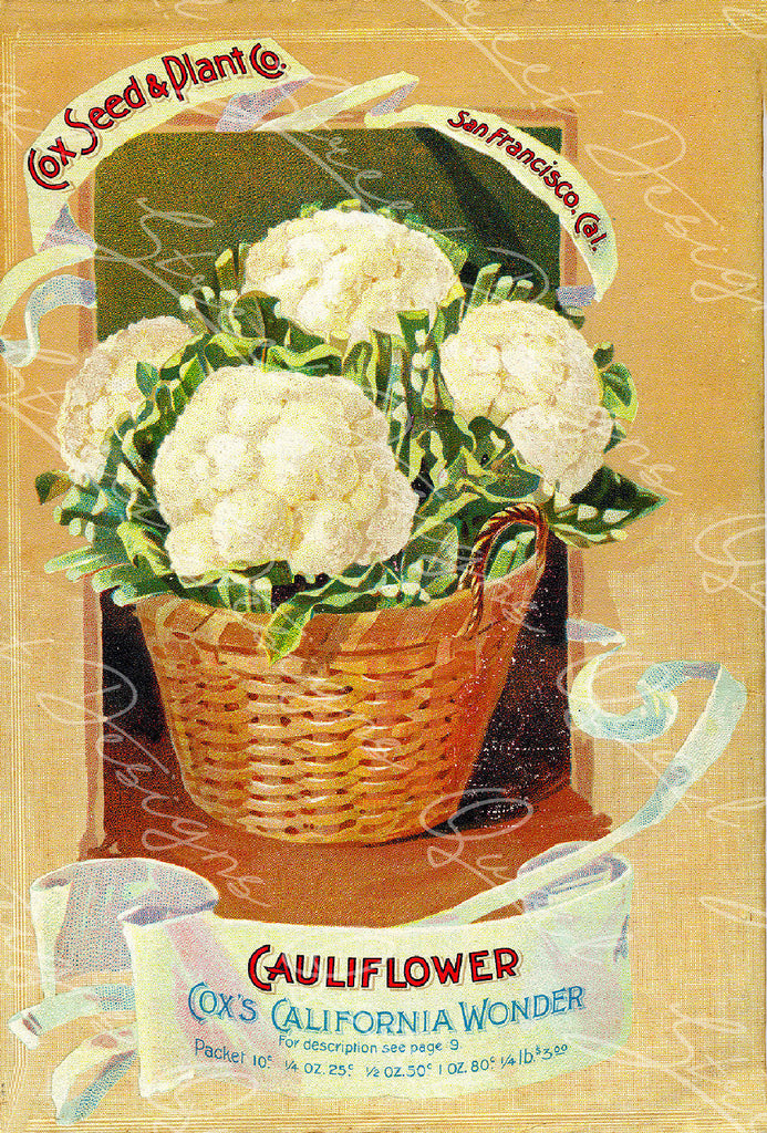 Digital Download - Vintage Seed Catalog - Cover of Cox  Plant & Seed Catalog   QSDP-95