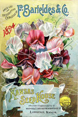 Digital Download - Vintage Seed Catalog -  F. Barteldes & Co. 1894 Plant & Seed Catalog Kansas Seed House Lawrence Kansas Sweet Pea Collection  -  QSDP-13