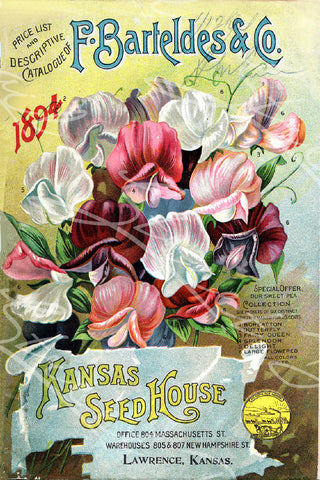 Vintage Seed Catalog - Reprint: F. Barteldes & Co. 1894 Plant & Seed Catalog Kansas Seed House Lawrence Kansas Sweet Pea Collection  8X10 Print  QSDP-13