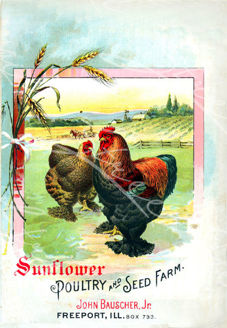 Vintage Seed Catalog - Reprint: Front Cover of Sunflower Poultry & Seed Farm, Freeport, ILL Plant & Seed Catalog   8X10 Print  QSDP-19