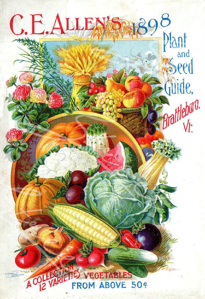 Vintage Seed Catalog - Reprint: C.E. Allen's 1898 Brattleboro, Vermont Plant & Seed Guide 8X10 Print  QSDP-3