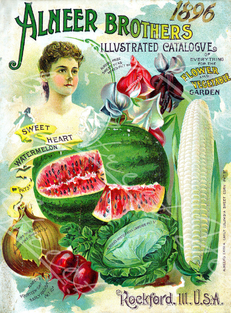 Vintage Seed Catalog - Reprint:  Alneer Brothers 1896 Plant & Seed 8X10 QSDP-6