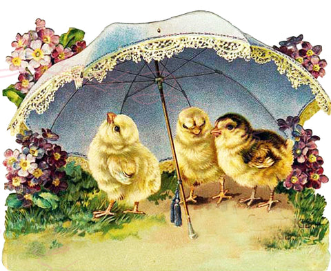 Vintage Easter Print - Reproduction from Vintage Easter Cards Chicks - Download Only Printable Wall Art Crafts Sublimation & more #42