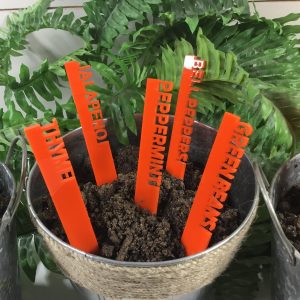 Acrylic Plant Markers, Acrylic Garden Markers, Garden Stakes, Markers for Vegetables, Flowers, Herbs, Succulents and Other Plants Funny Puns